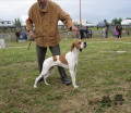 Pedigree OMAR DES LANDES DU PECH